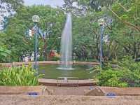 居然在九龍公園發現天空之鏡