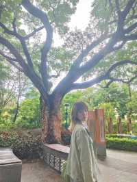 居然在九龍公園發現天空之鏡