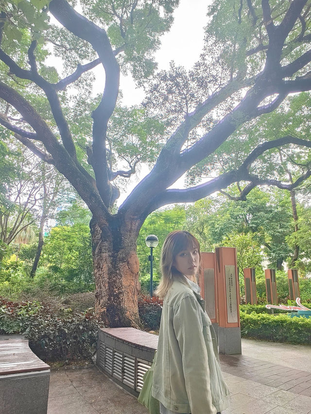 居然在九龍公園發現天空之鏡