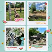 和歌山城公園動物園：親近自然的樂趣🦁🏰🌳