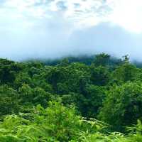 Jungle Trekking for the Adventurous Backpacker