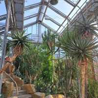 ～牛津大學哈考特植物園～增長植物知識好去處～