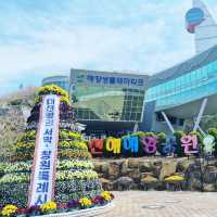 Jinhae Marine Park