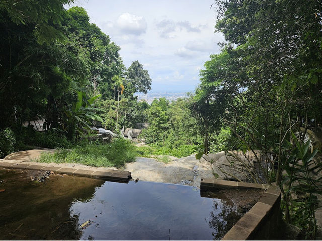 Doi Suthep Hiking Trail (Wat Pha Lat) 