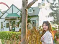 ปานชีวาคาเฟ่