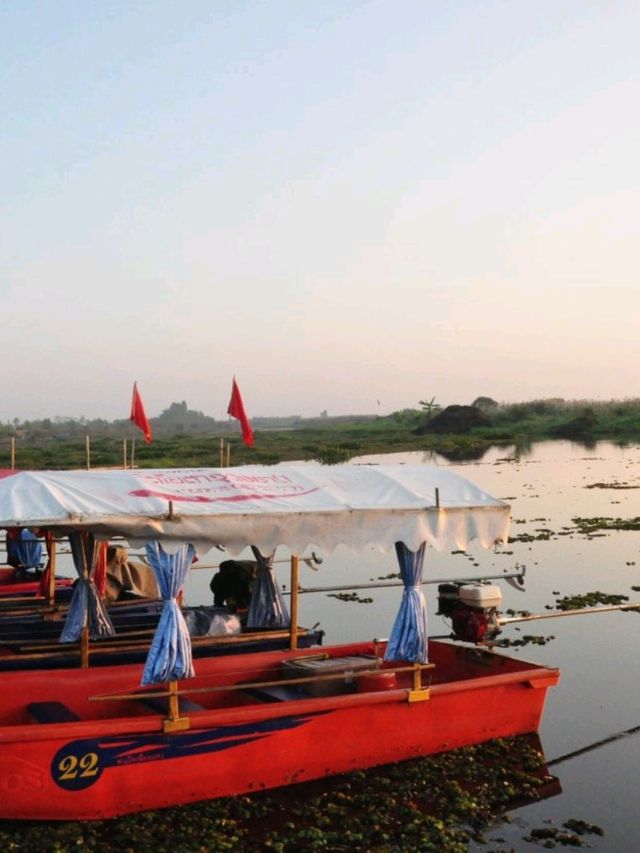 ล่องเรือชมความงามของทะเลบัวแดง