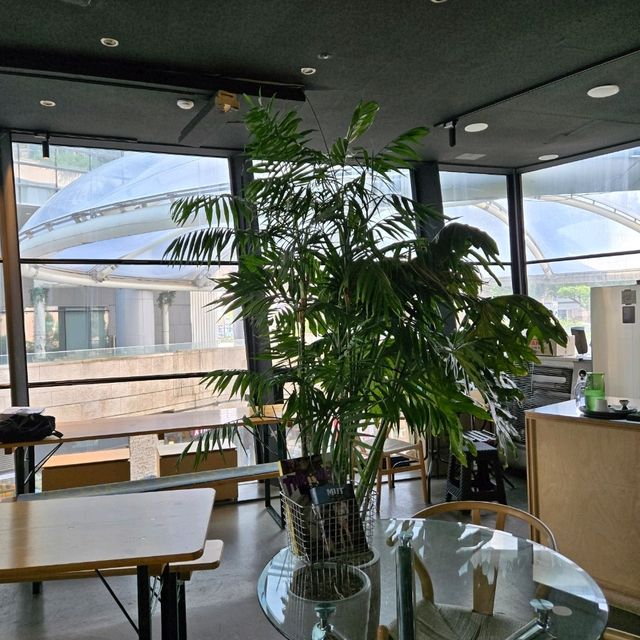 브런치가 너무 맛있는 플렌테리어 합정 카페 , 비일구일구 서울 🌿