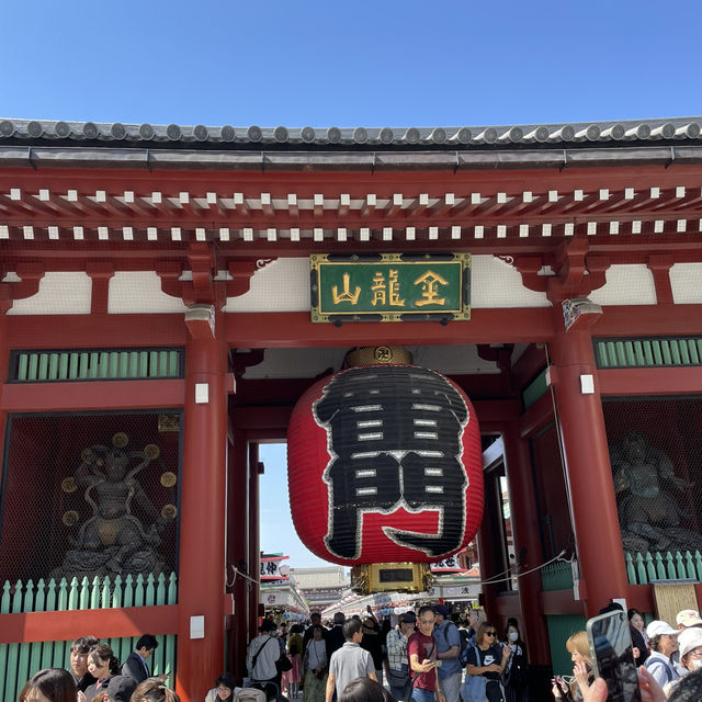 Tokyo Wonders: Explore Iconic Sights, Culture, and Culinary Delights