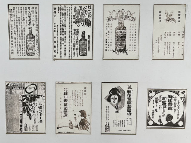 【日本遺産・牛久シャトー】牛久大仏だけじゃない、日本産ワイン誕生の歴史