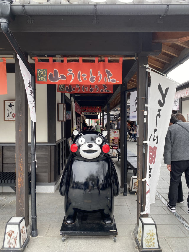 熊本縣隨處可見的《熊本熊》 