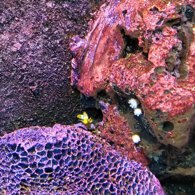 Underwater World Pattaya 