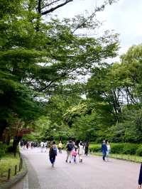 《🇯🇵 東京上野恩賜公園悠閑景點推介🌟》