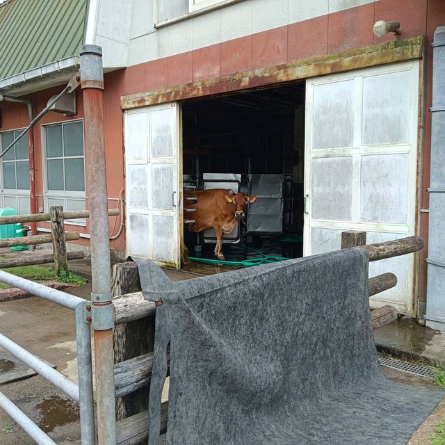 高千穗牧場游記