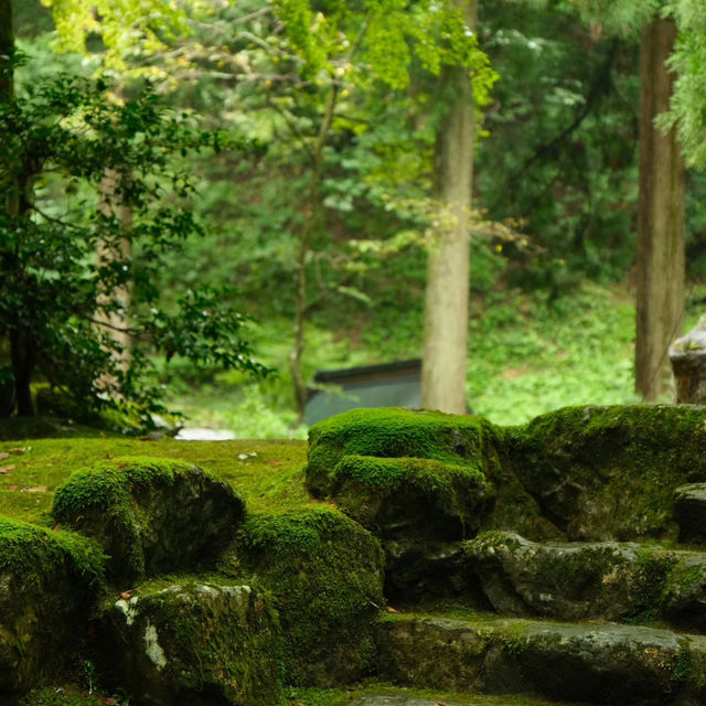 法雲禪寺：日式靜謐 🍃🧘‍♂️