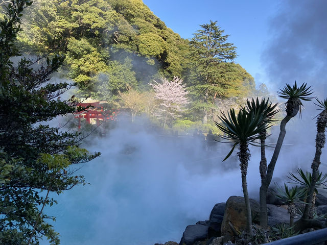 🇯🇵 九州別府 來這裡就夠了！♨️
