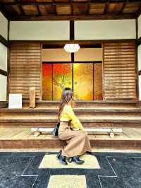 【京都/紅葉スポット】お部屋の中から見る中庭と枯山水が見事なお寺🍂🌾