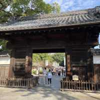 名古屋冷門景點推薦：德川園的靜謐之美