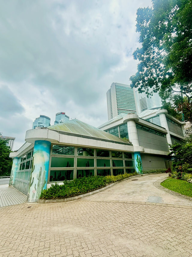【金鐘】香港公園：期間限定香花展覽