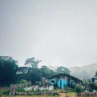 Sagada MP: Wealth of Filipino Culture