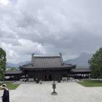 🇭🇰Tsz Shan Monastery & Wong Tai Sin temple🇭🇰