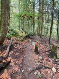 【ノースバンクーバー🇨🇦】休日にプチハイキング🚶‍♀️