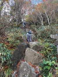 【愛媛】西日本最高峰｢石鎚山」