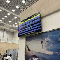 항공권이 저렴한 스핑크스 공항 ✈️