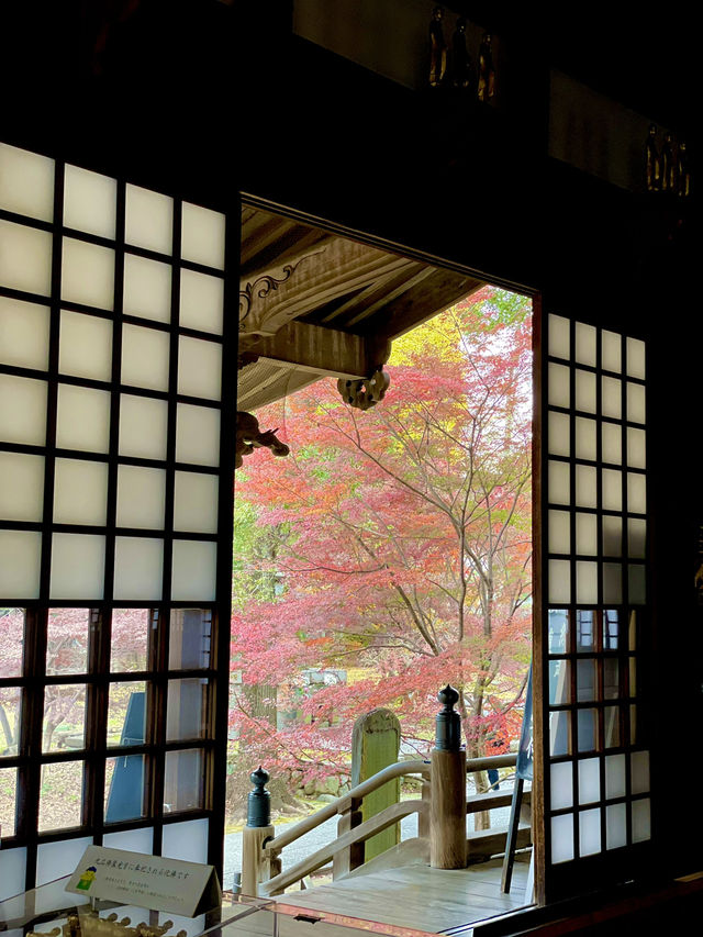 【東京 自由が丘】紅葉絶景スポットと古民家カフェ
