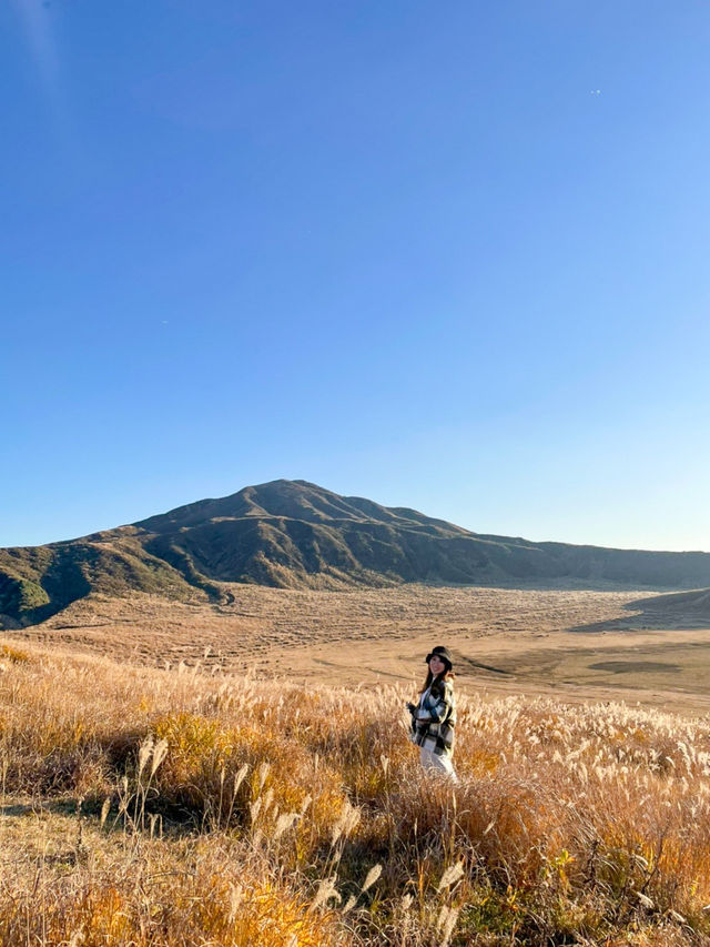 【熊本】🌾 秋の阿蘇⛰️ススキとサンセット！ここでしか味わえない絶景 🌅