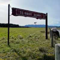 【NZ】テアナウで少し休憩☕️