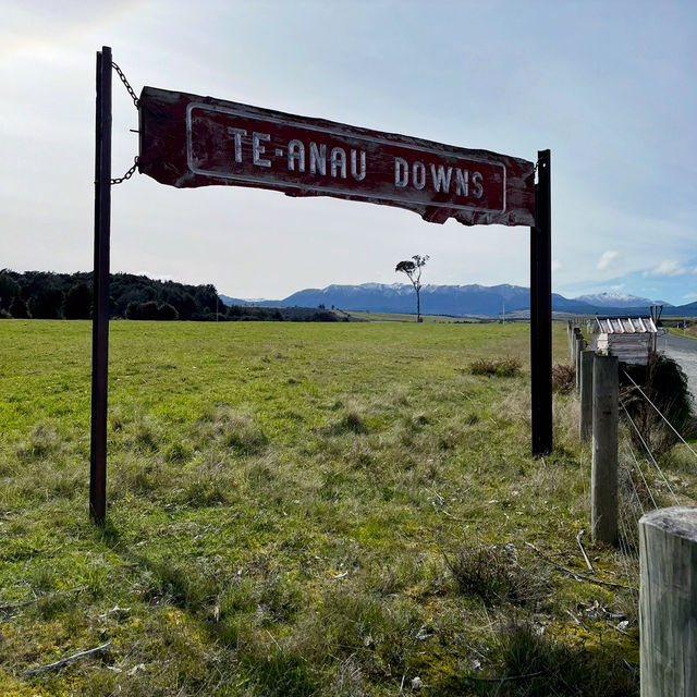 【NZ】テアナウで少し休憩☕️