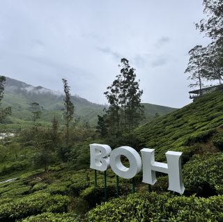 在茶園享用下午茶