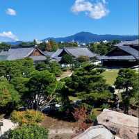 京都的歷史與文化遺產的魅力✨ 二條城🏯