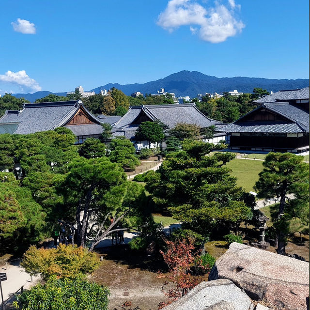 京都的歷史與文化遺產的魅力✨ 二條城🏯