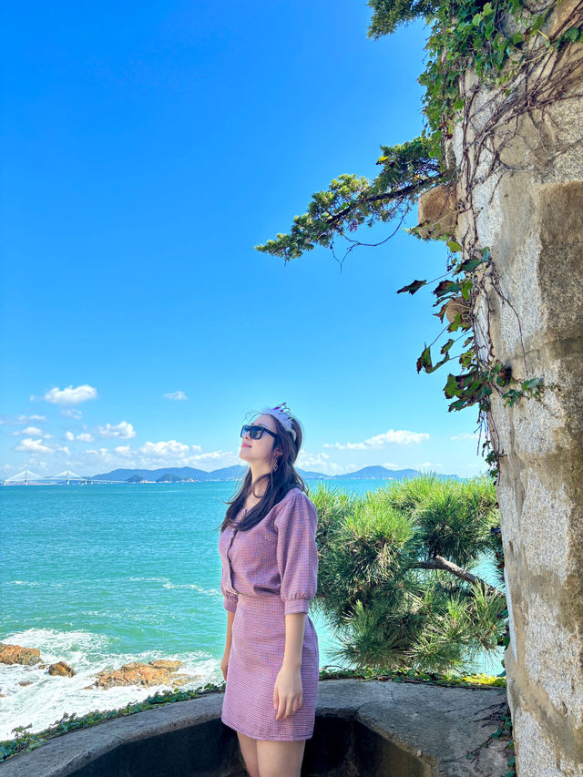 매미없는 매미성이 핫플인 이유