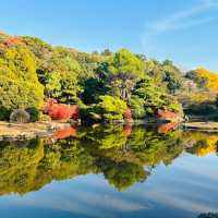 清流公園：詩意之地 🍂