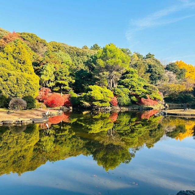 清流公園：詩意之地 🍂