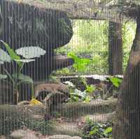 購買trip.com套票遊玩台北市立動物園,價廉+快捷+方便👍