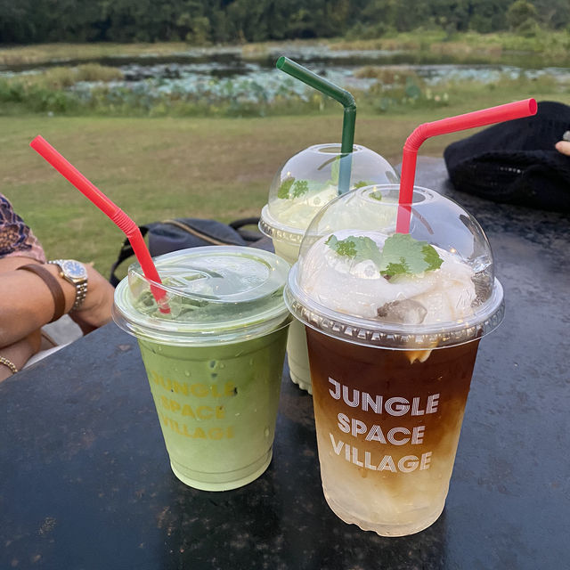 Jungle space village - คาเฟ่เขียวขจี จ.นครพนม