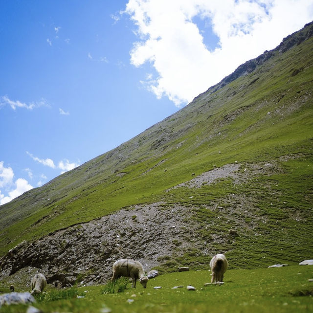 Drass Valley: The Gateway to Ladakh’s Frozen Paradise ❄️🏔️