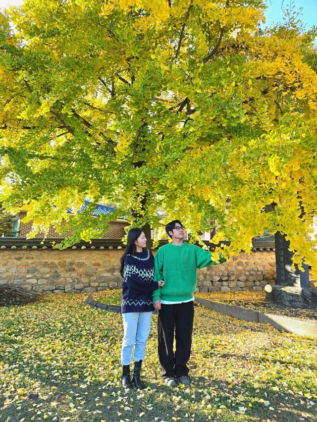 조금은 특별한 거창 시크릿 은행스팟💛
