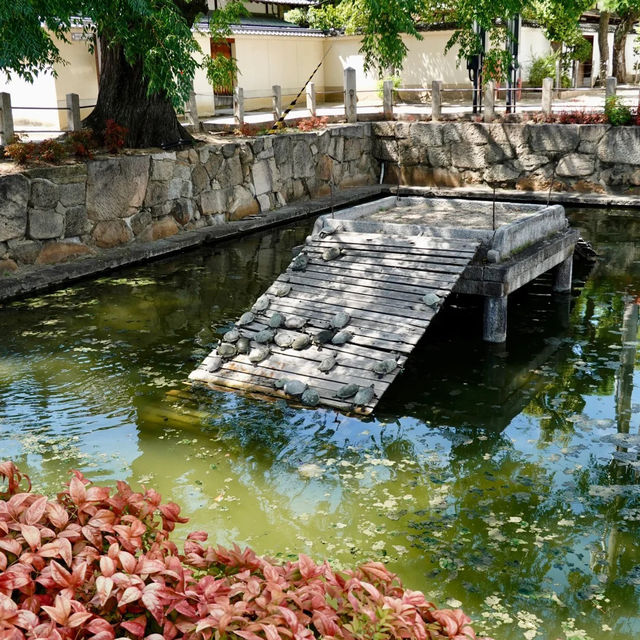 大阪景點推薦：大阪四天王寺，市中心的寧靜古剎