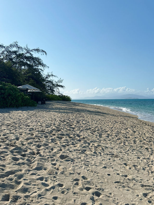 【Great Barrier Reef】　Low isles