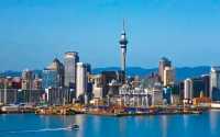 New Zealand: Where the Views Are Stunning, and the Food's Even Better!