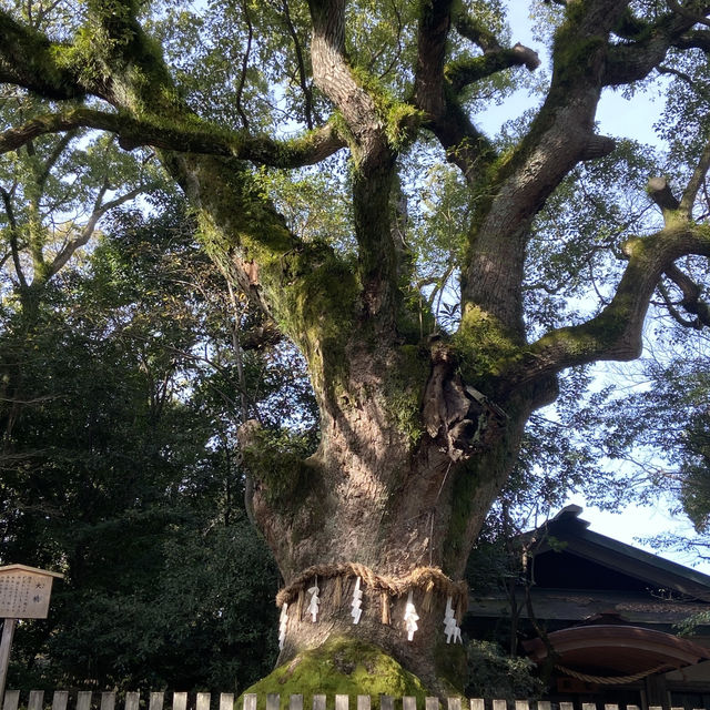 รีวิวสถานที่เที่ยว Minamishingusha 🇯🇵