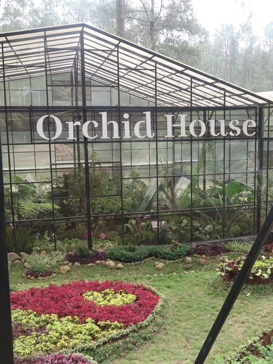 Orchid castle bandung