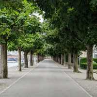 Discover the Charm of Lucerne