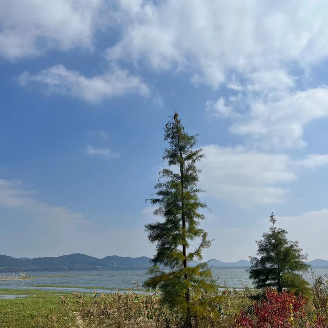 金鐘水庫～在山明水秀中忘卻煩憂！🏞️💧