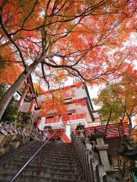 【ここ行って】お守り作り体験も⁉️パワーみなぎる天空の紅葉絶景スポット🍁