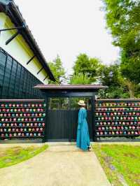 福井観光☺️🌈武家屋敷旧田村家🌈カラフルな風車が素敵💓